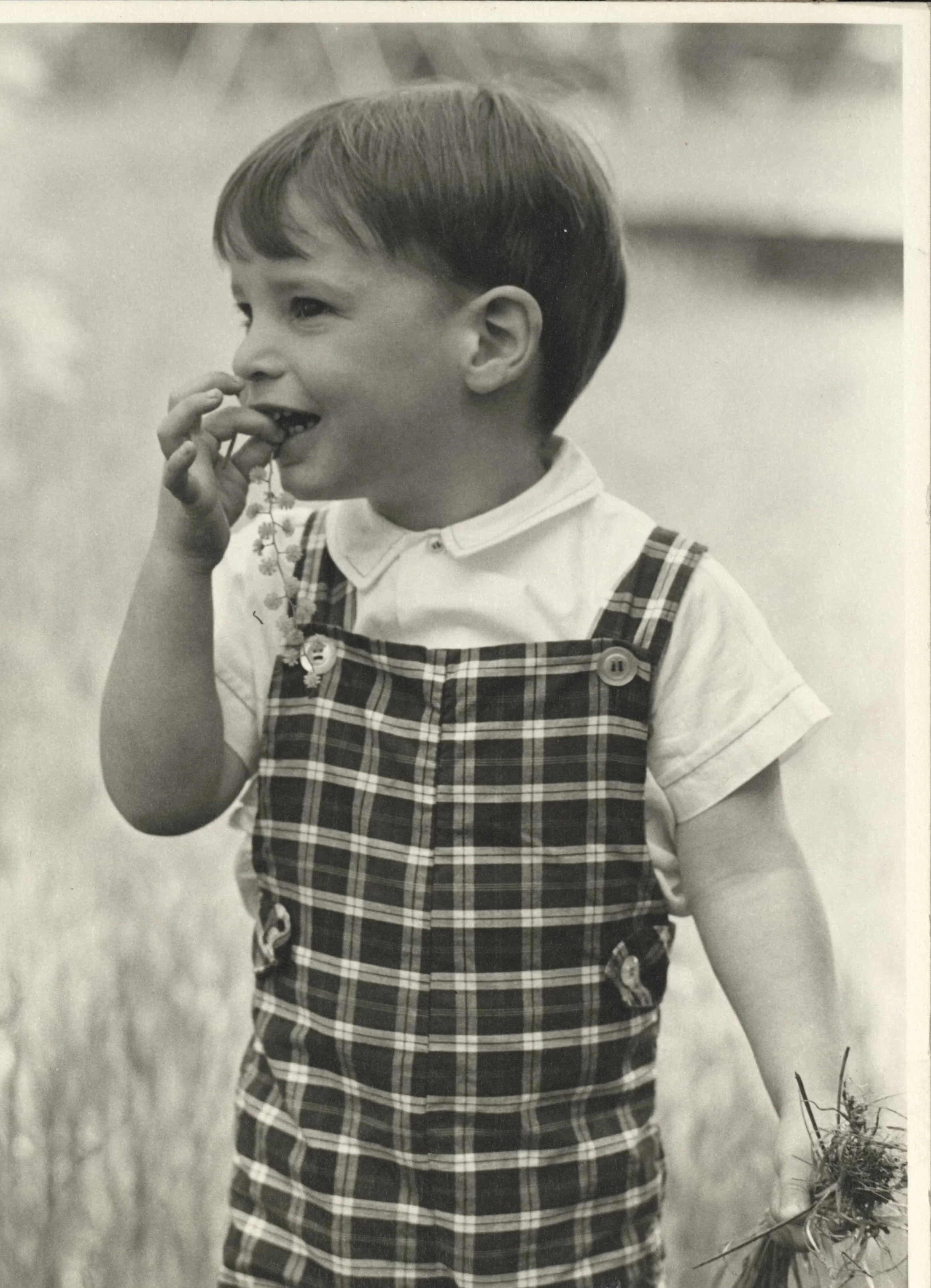 A young boy smiling while holding a flower and a bunch of grass, standing outdoors in a field.