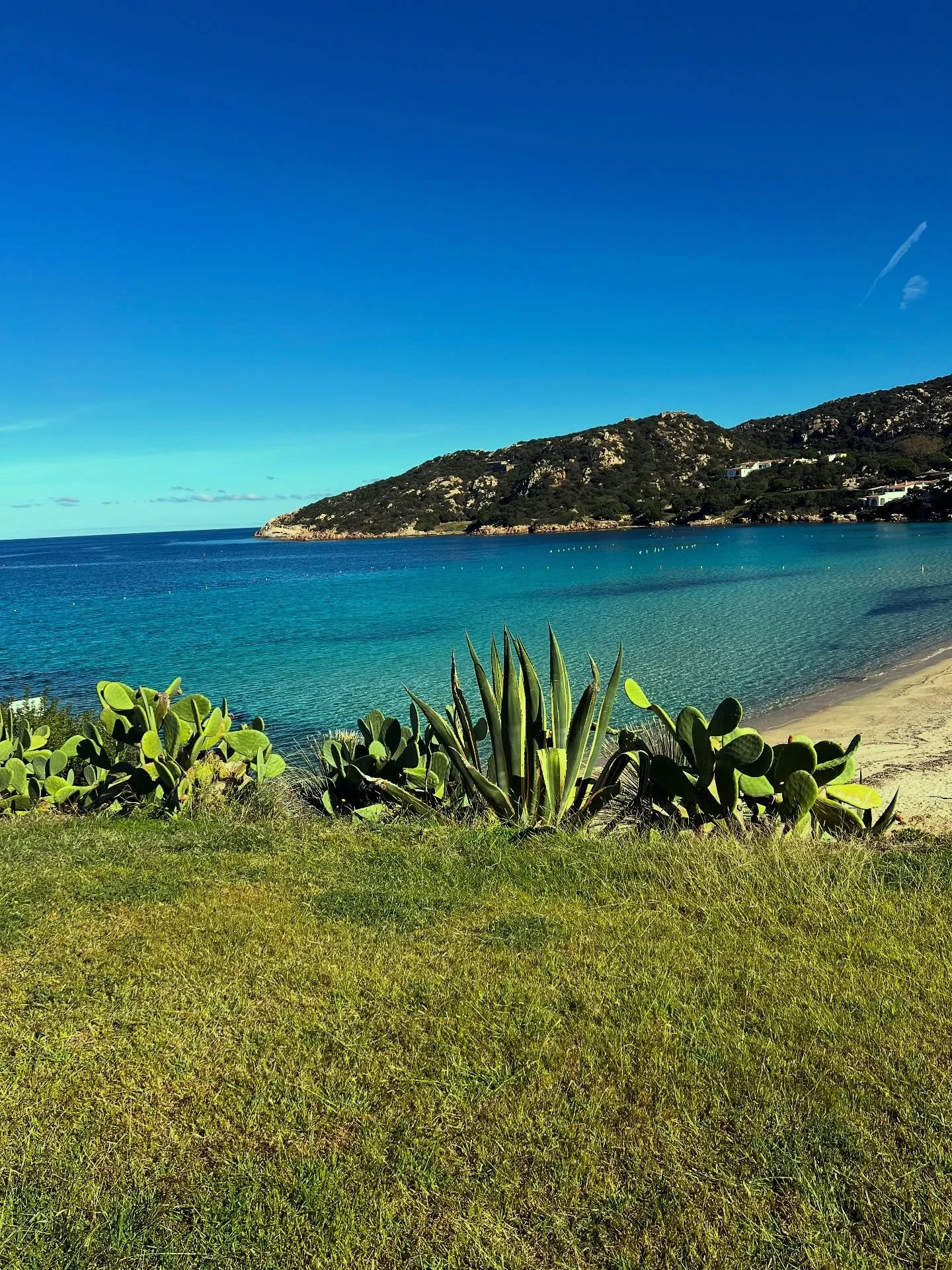 ✨Where turquoise meets tranquility - welcome to Costa Smeralda. A coastline sculted by the wind, kissed by the sun, and reserved for those who know where to find perfection

#portocervoconcierge #costasmeraldaconcierge #sardiniaconcierge #costasmeral