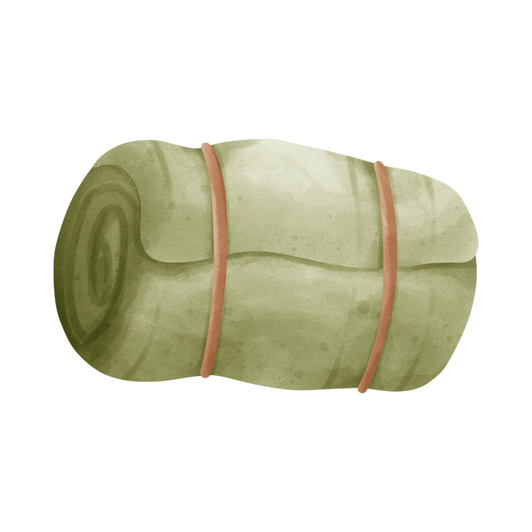 A bag in the curriculum features section.