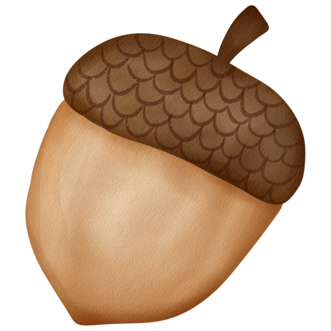 Digital illustration of an acorn with a light tan base and a dark brown cap with a scale pattern, isolated on a black background.