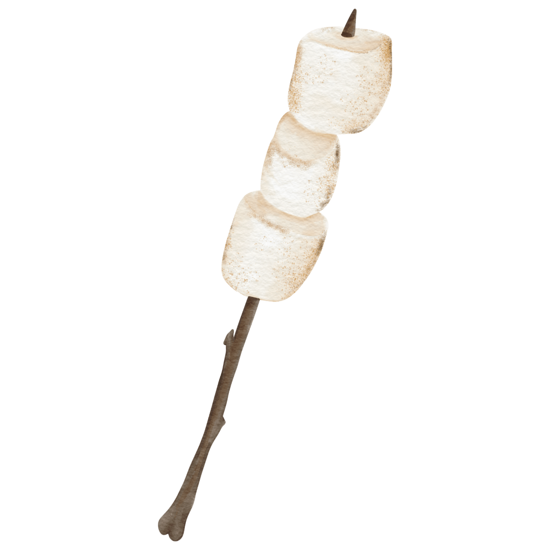 Marshmallow-on-a-stick in the curriculum features section.