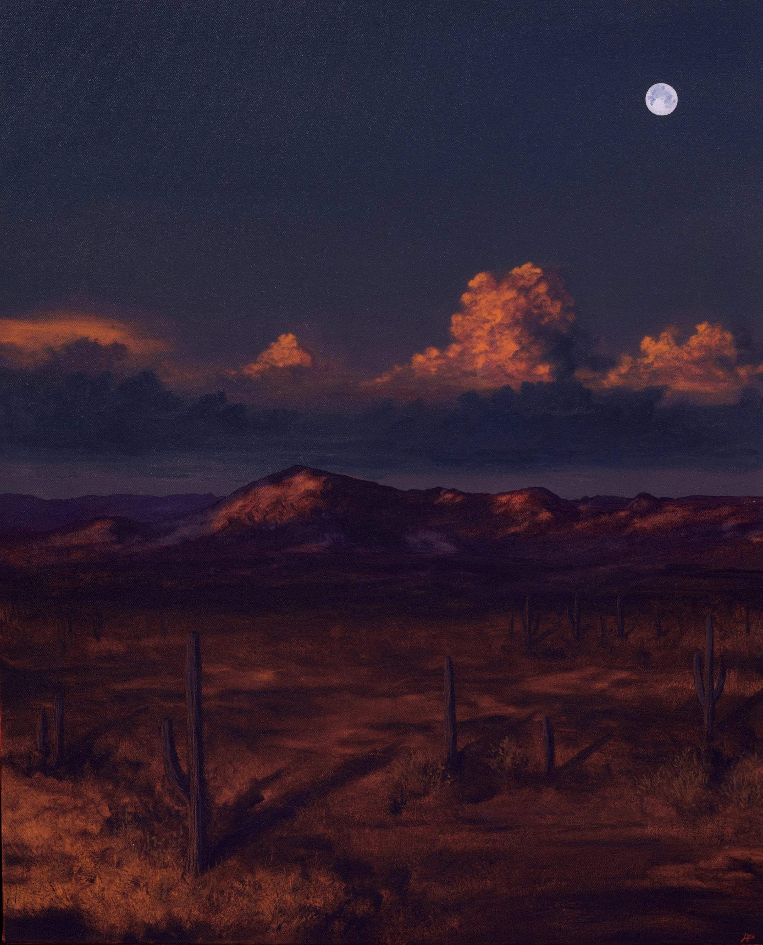 Saguaro National Park