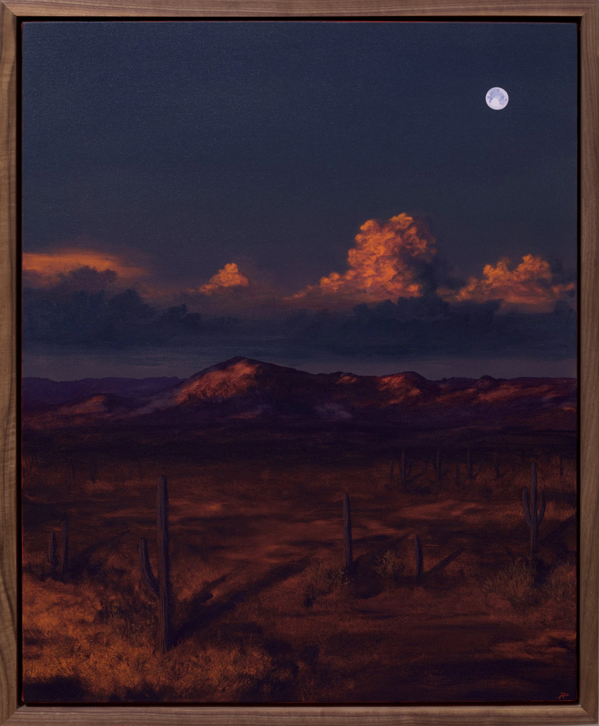 Jake-Trujillo-Saguaro-National-Park-24x30-Frame-2026.jpeg