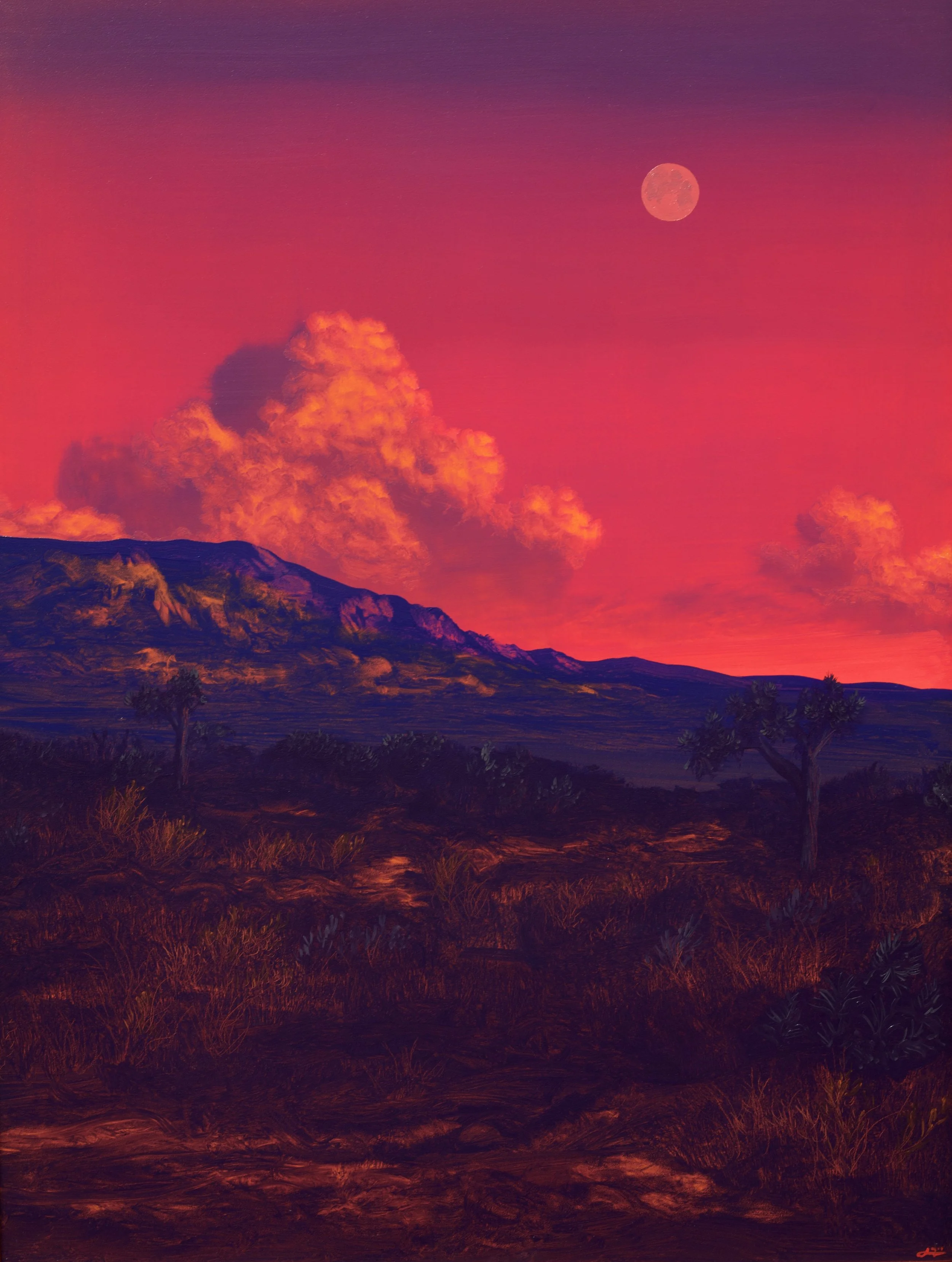 Joshua Tree