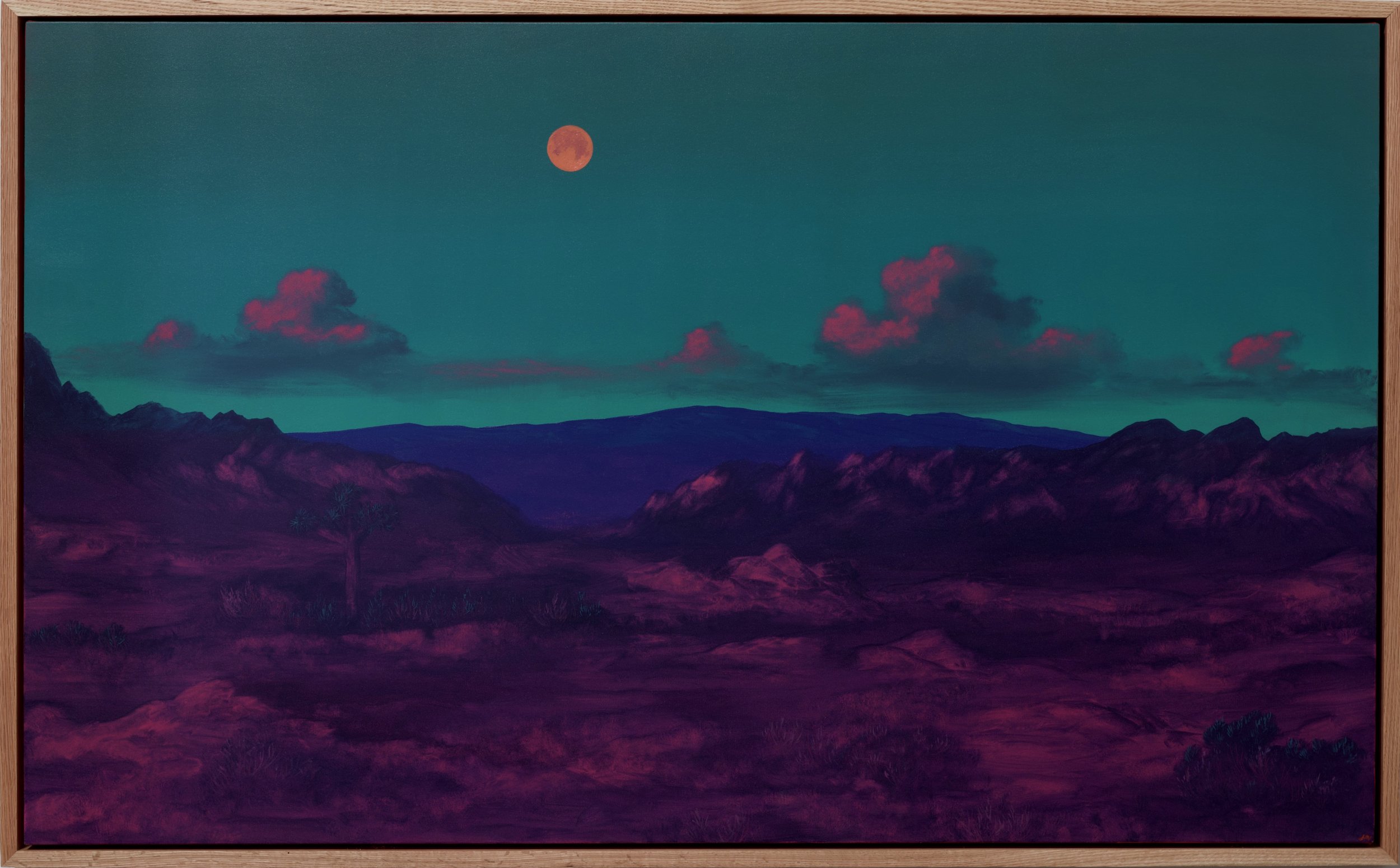 Jake-Trujillo-Joshua-Tree-36x60-Frame-2026.jpeg