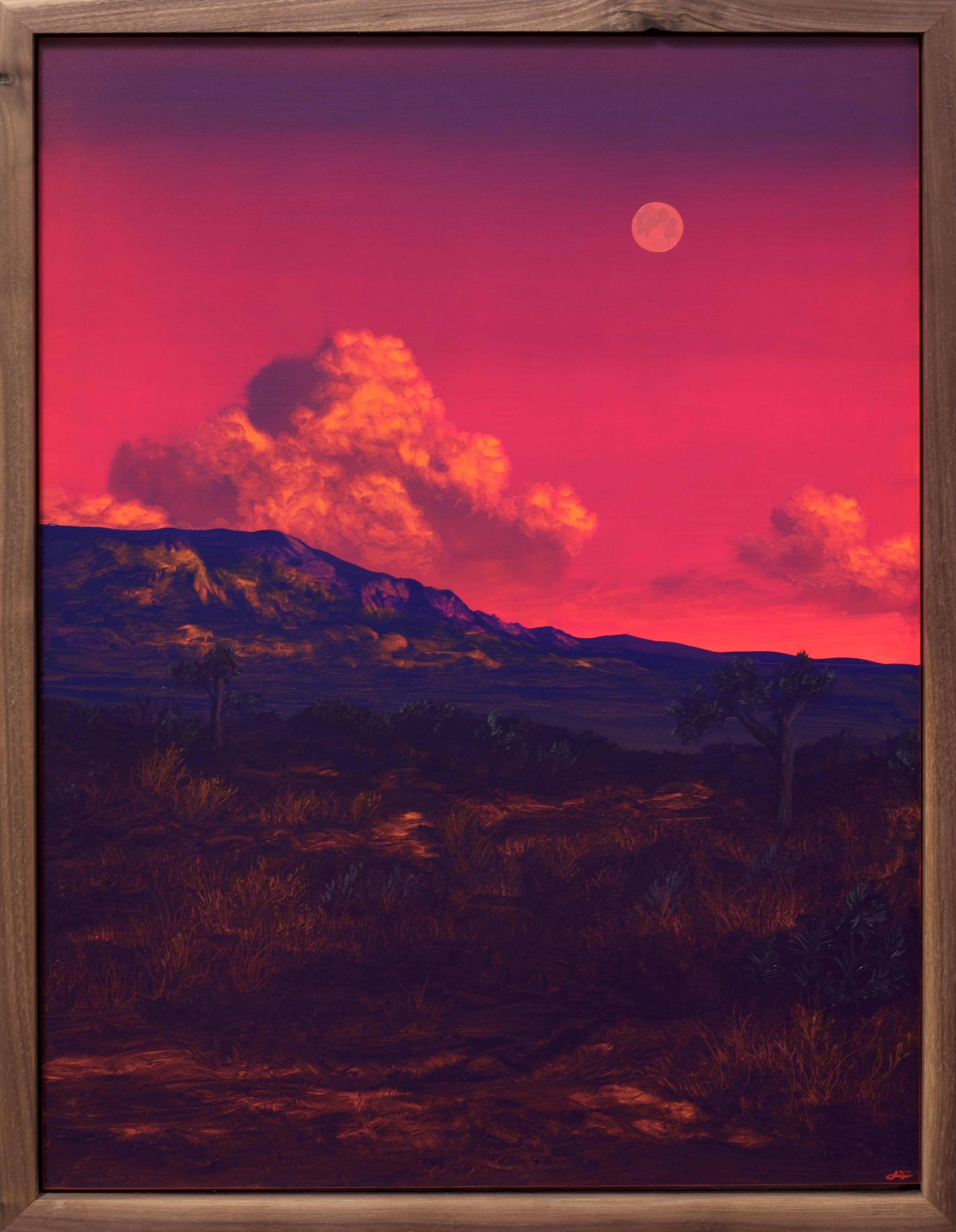 Jake-Trujillo-Joshua-Tree-18x24-Frame-2026.jpeg
