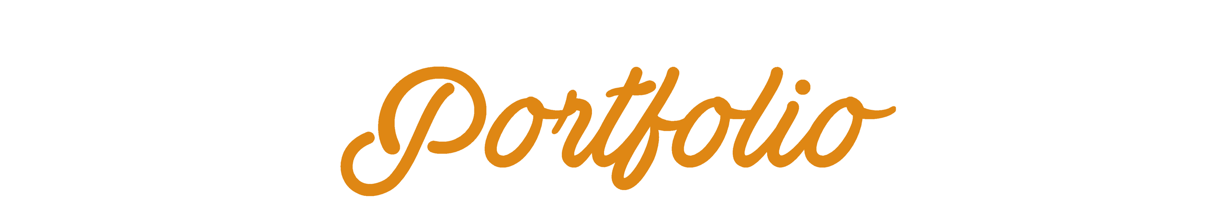 The word 'portfolio' written in a cursive, orange font on a white background.