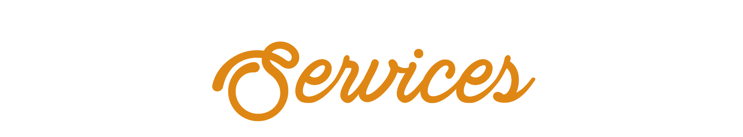 The word 'Services' written in cursive orange text on a white background.