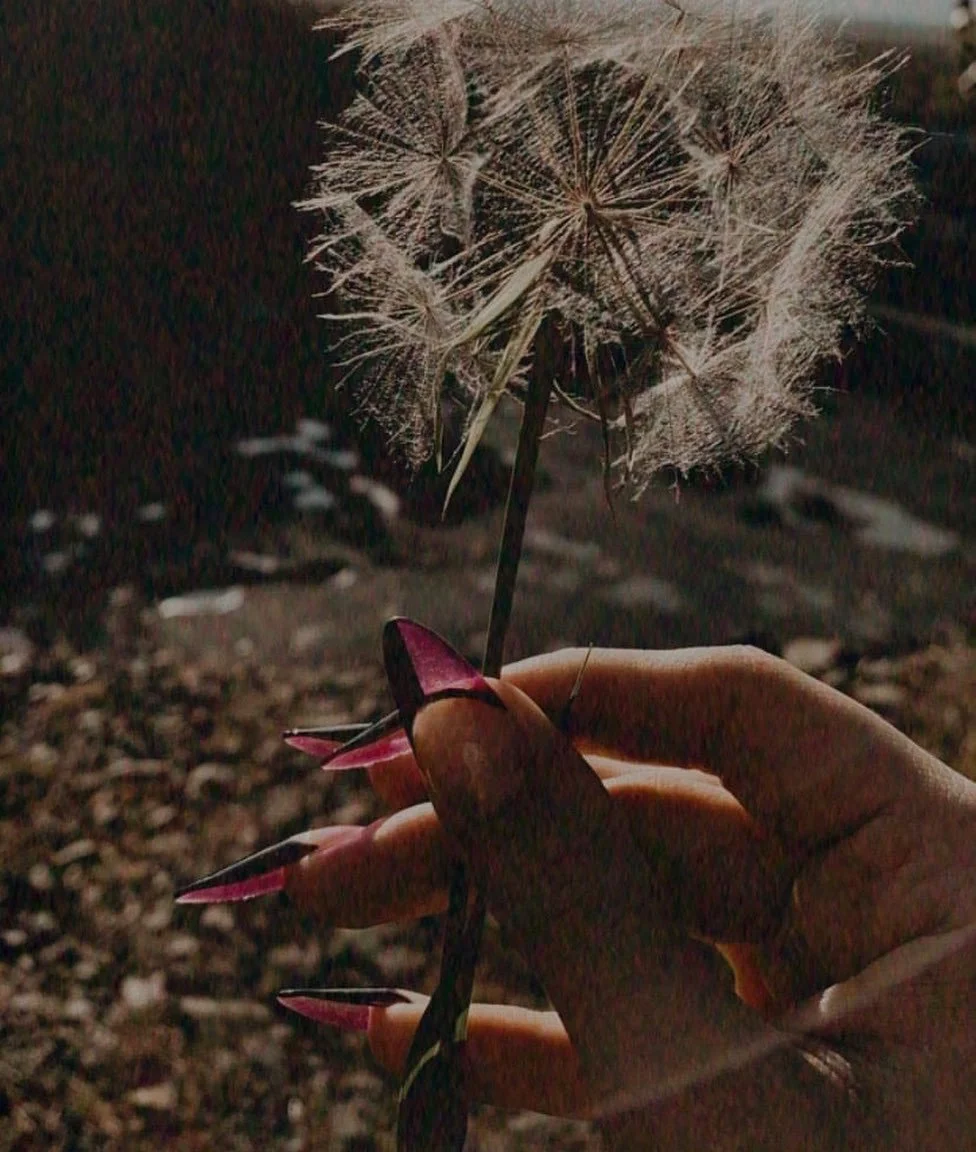 POURQUOI UNE THÉRAPIE HOLISTIQUE EST-ELLE BÉNÉFIQUE?