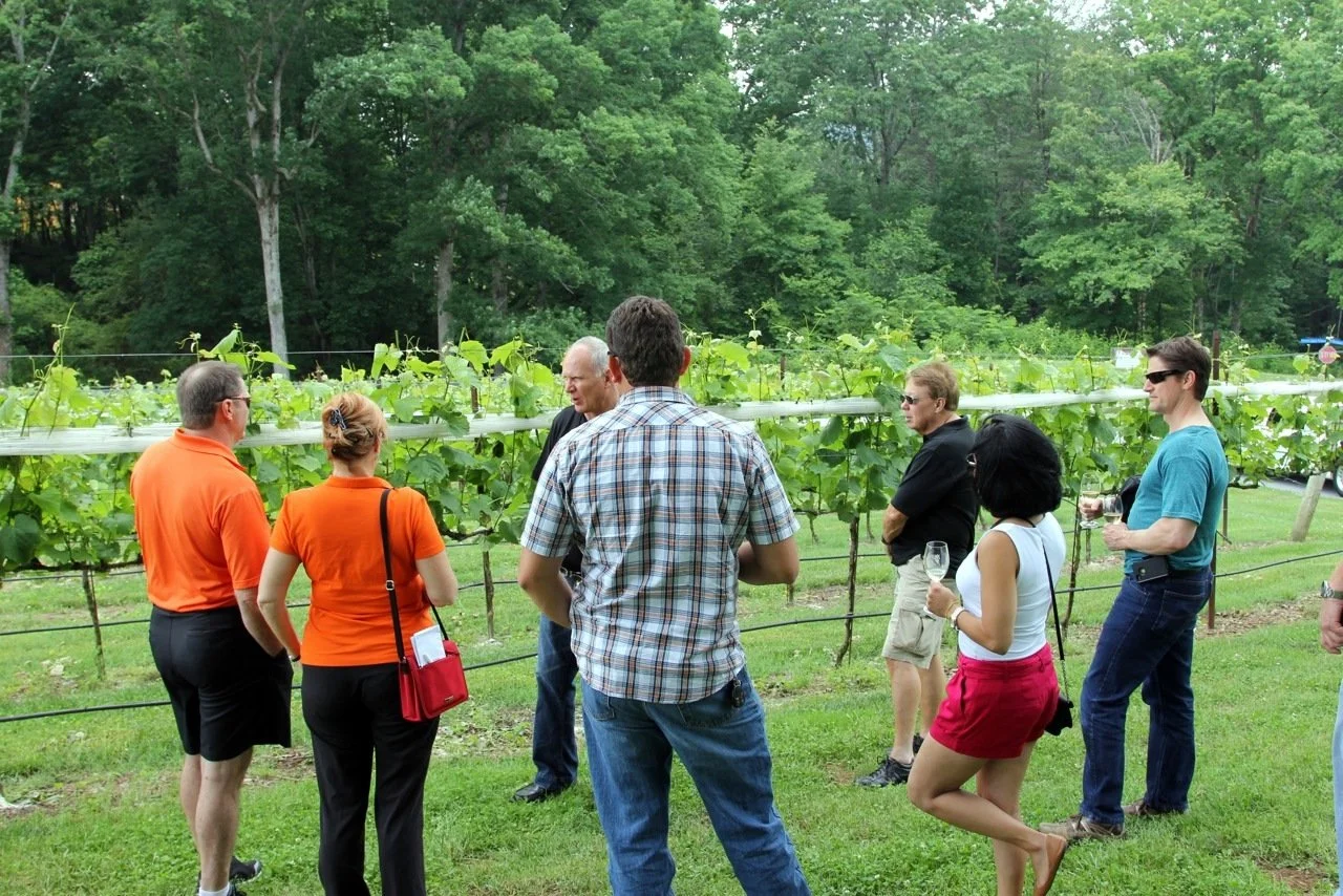 Group of people sampling wine in a vineyard