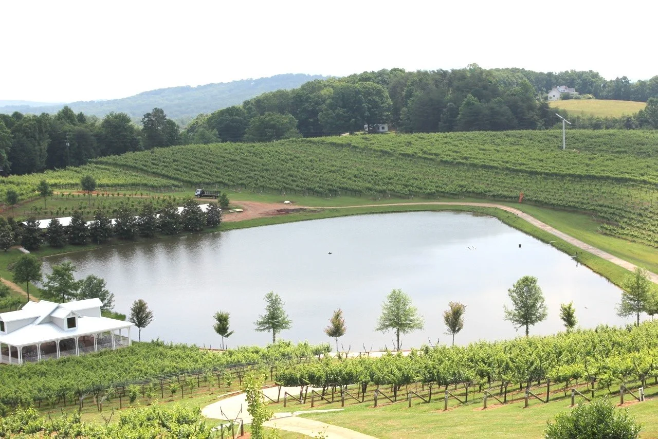 Landscape view of a vineyard with a pond in the foreground, surrounded by rolling hills, trees, and a wind turbine in the background.