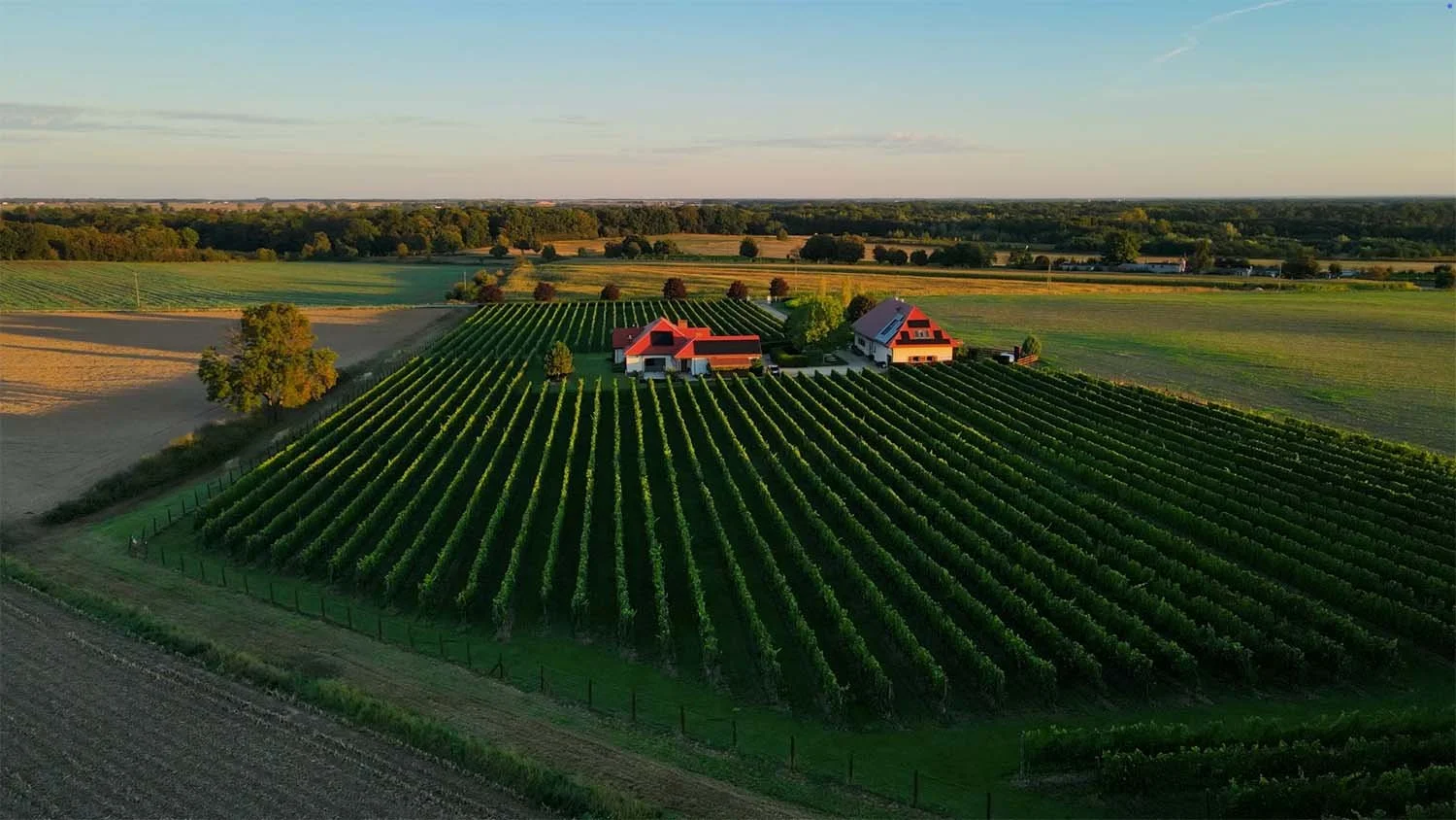 wine tours and wine workshops.jpg