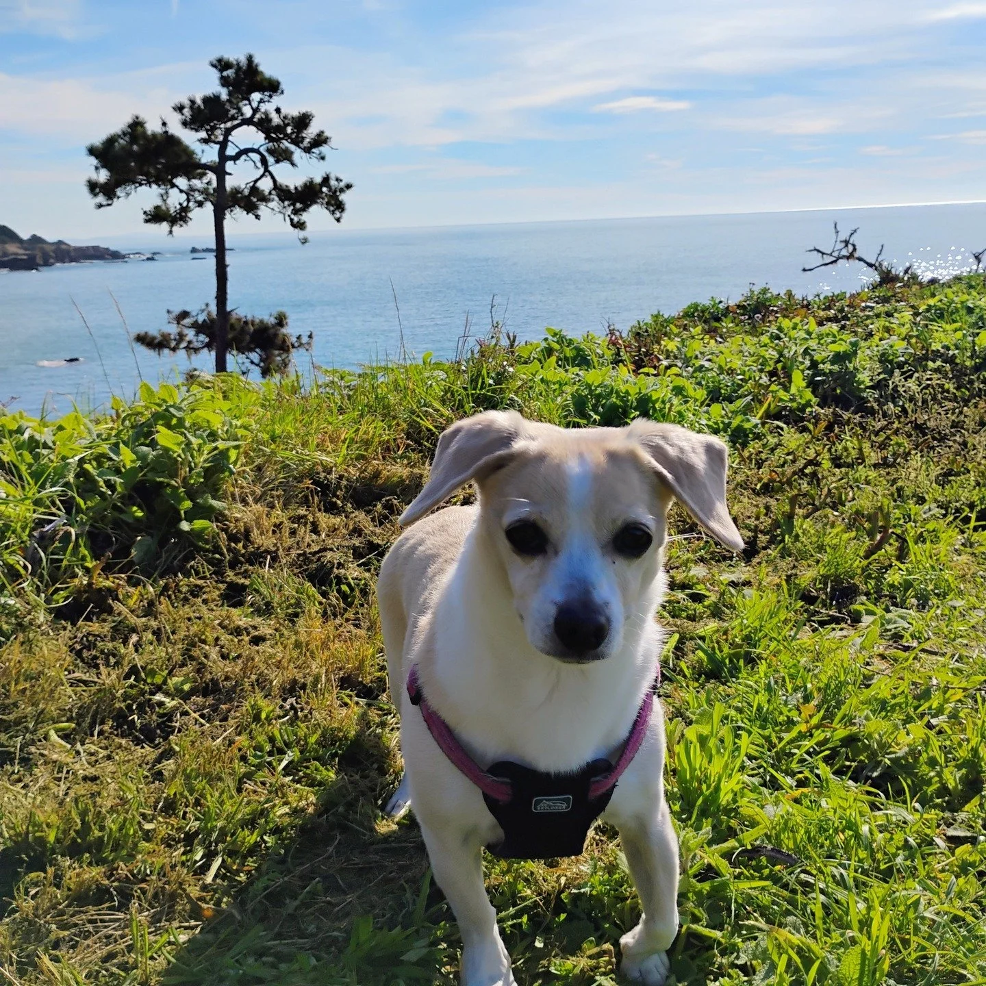 Took a little break from organizing recently to enjoy some January sunshine with dear friends. #CaliforniaCoast