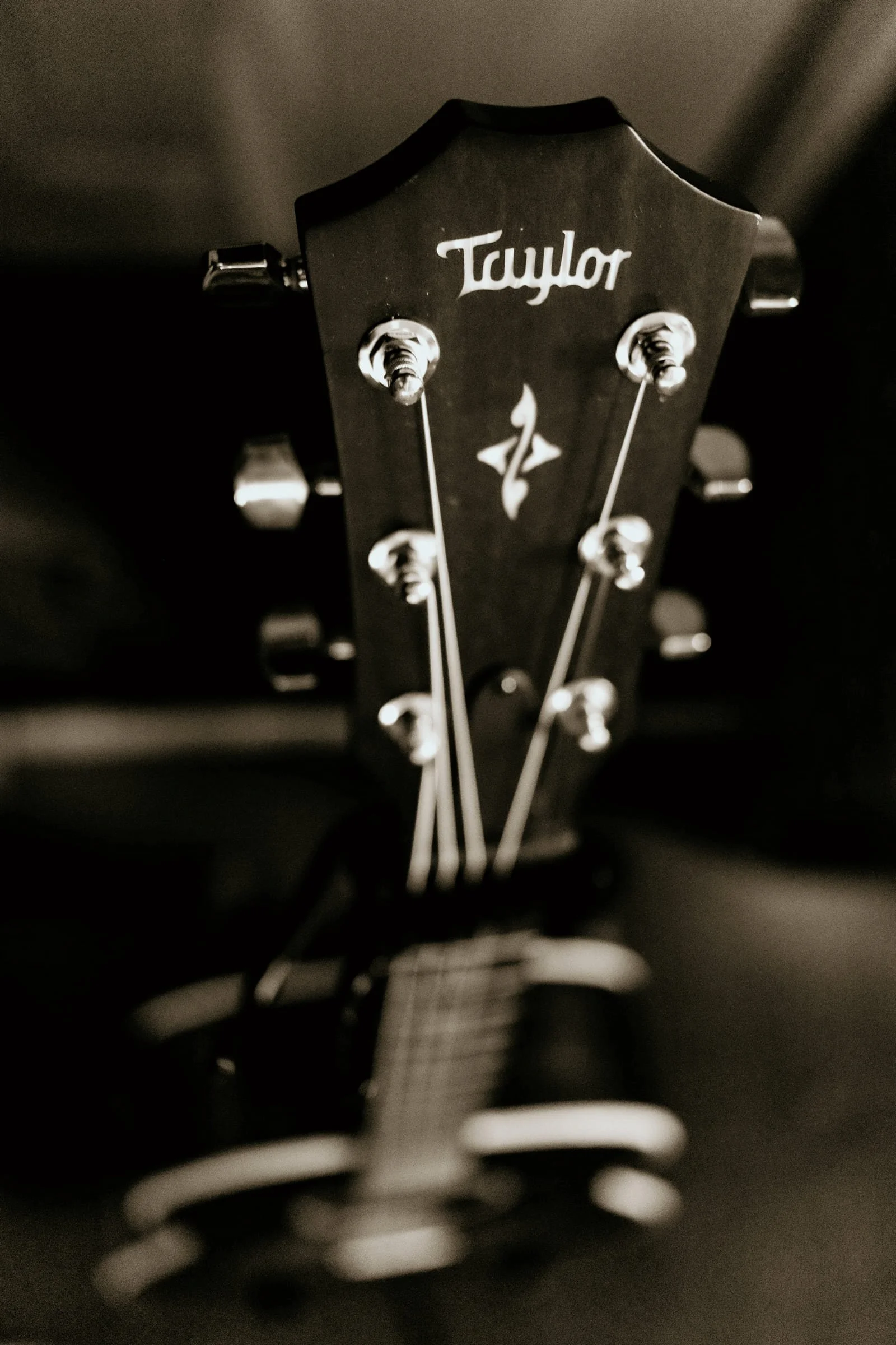 TheoLinebaugh_Guitar_BW.jpg