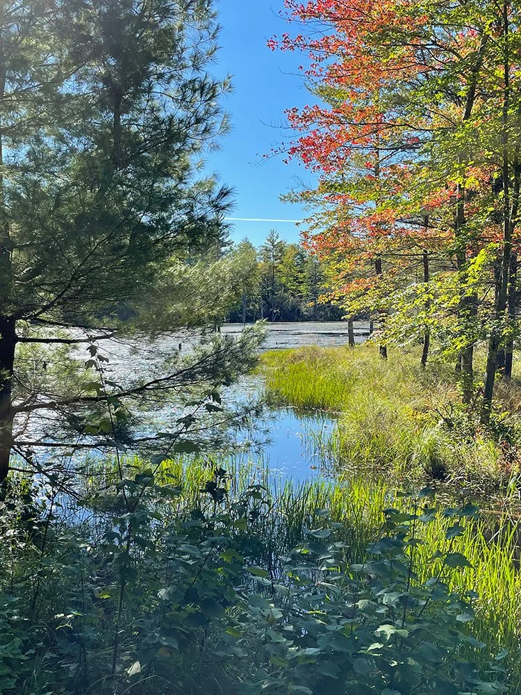 New Hampshire_19.jpg