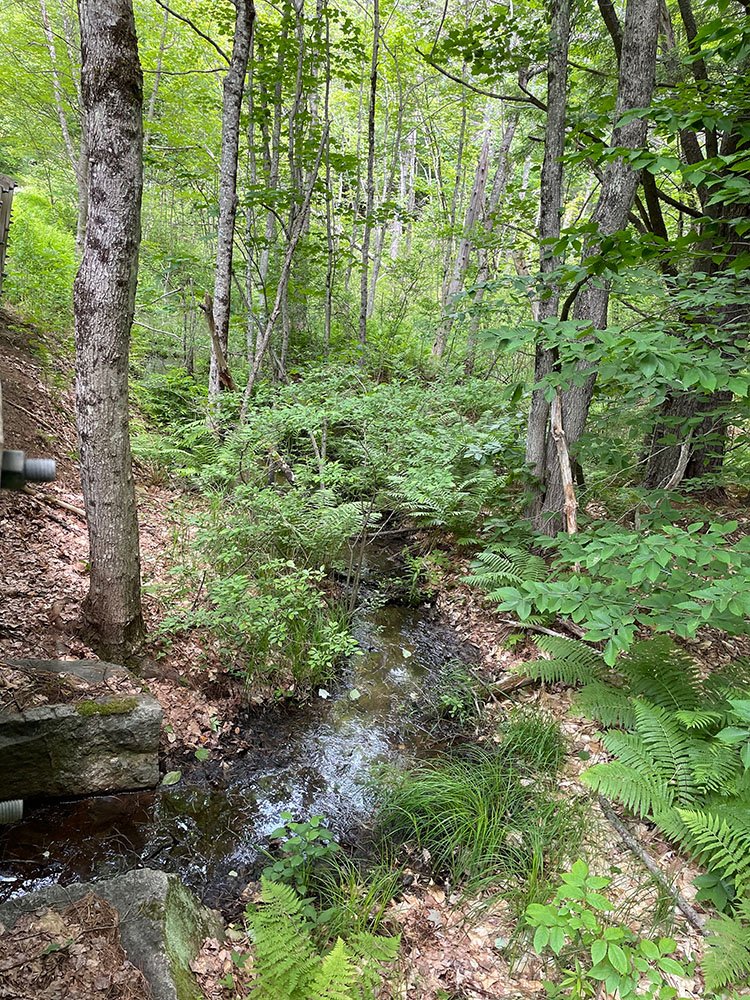 New Hampshire_13.jpg