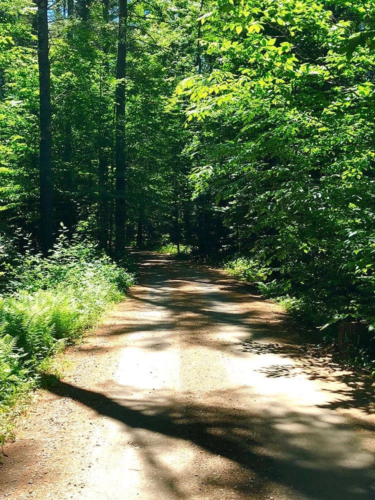 New Hampshire_18.jpg