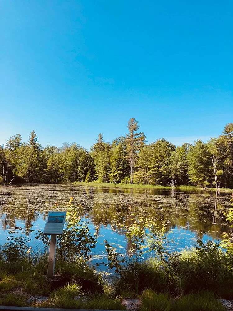 New Hampshire_16.jpg