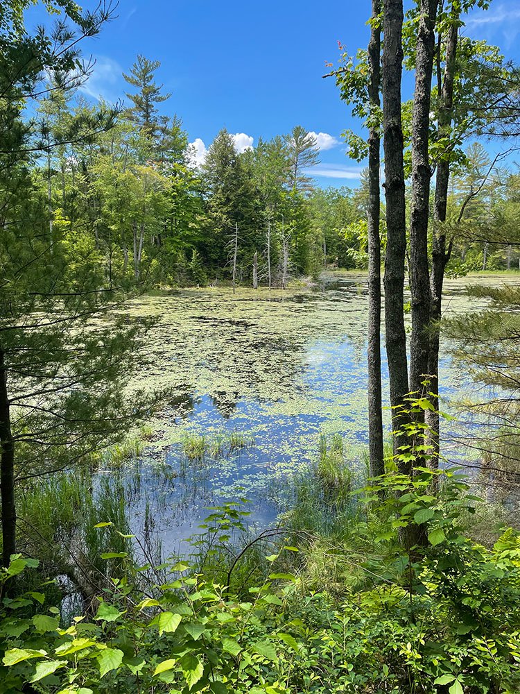 New Hampshire_12.jpg