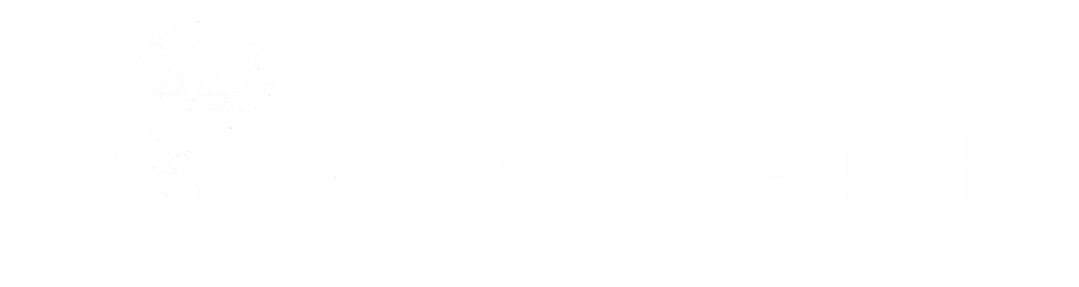 Roohani Brain and Wellness