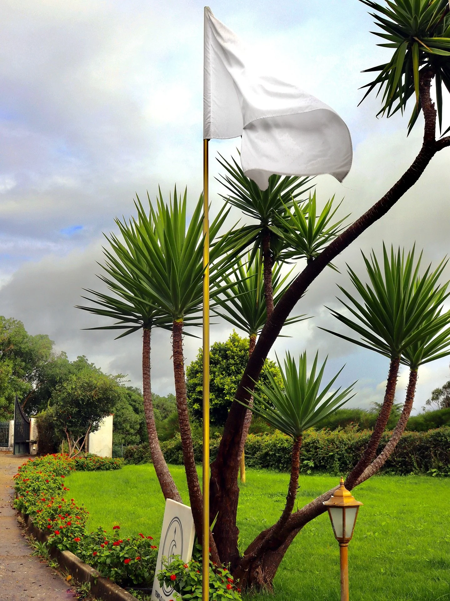 O f&iacute; l&agrave; al&agrave;y&eacute; &oacute;, ir&eacute; il&ecirc; &agrave;wa, ẹ B&agrave;b&aacute; a &agrave;w&uacute;re &oacute;, ir&eacute; il&ecirc; &agrave;wa! 🤍🕊️

Senhor do mundo que usa o pano branco fa&ccedil;a a nossa Casa feliz. Pa