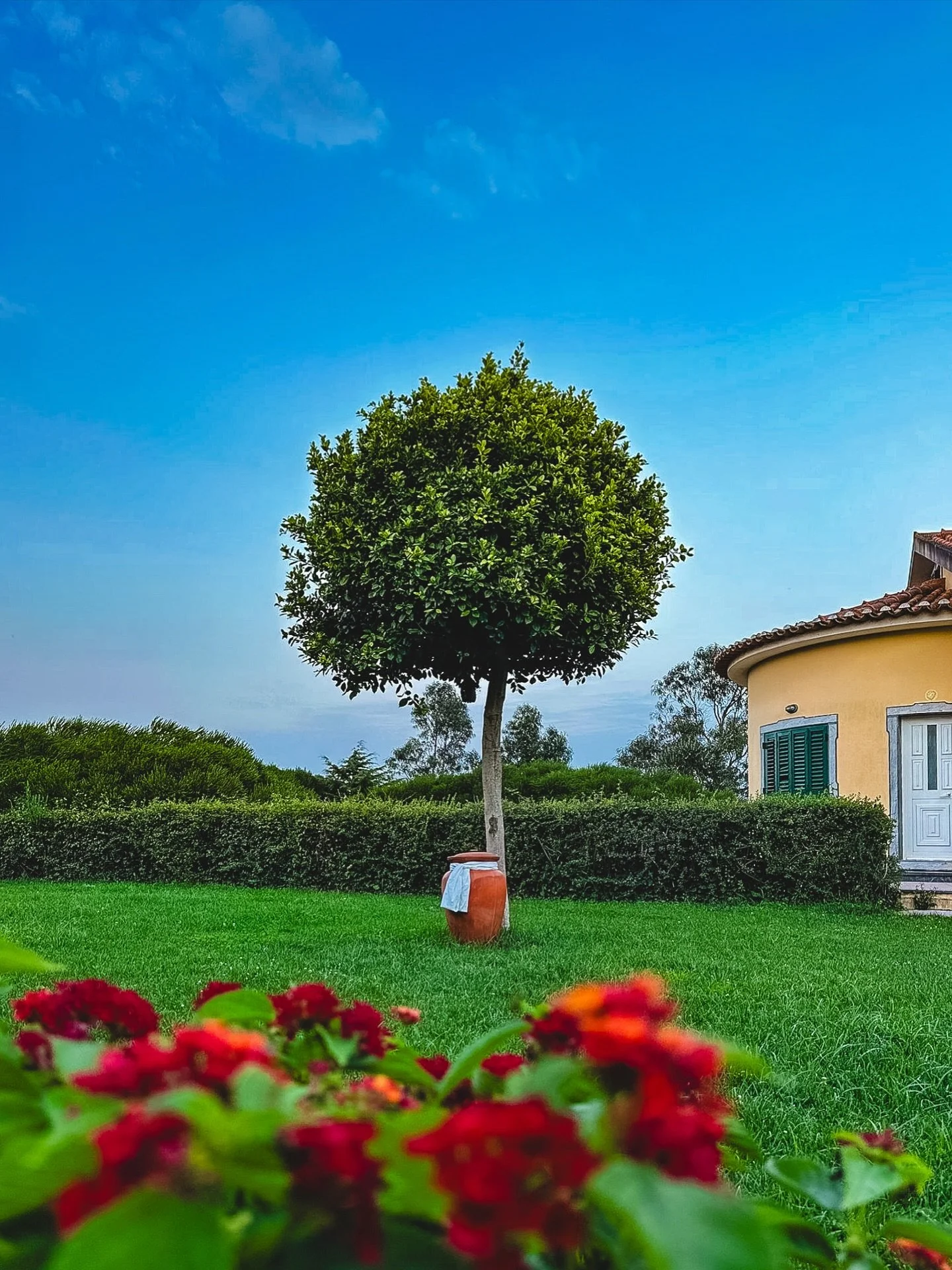 &ldquo;Senhor,
Fazei de mim um instrumento de vossa Paz.
Onde houver &Oacute;dio, que eu leve o Amor,
Onde houver Ofensa, que eu leve o Perd&atilde;o.
Onde houver Disc&oacute;rdia, que eu leve a Uni&atilde;o.
Onde houver D&uacute;vida, que eu leve a 