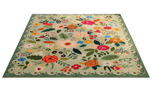 download__80_-removebg-preview (1).png