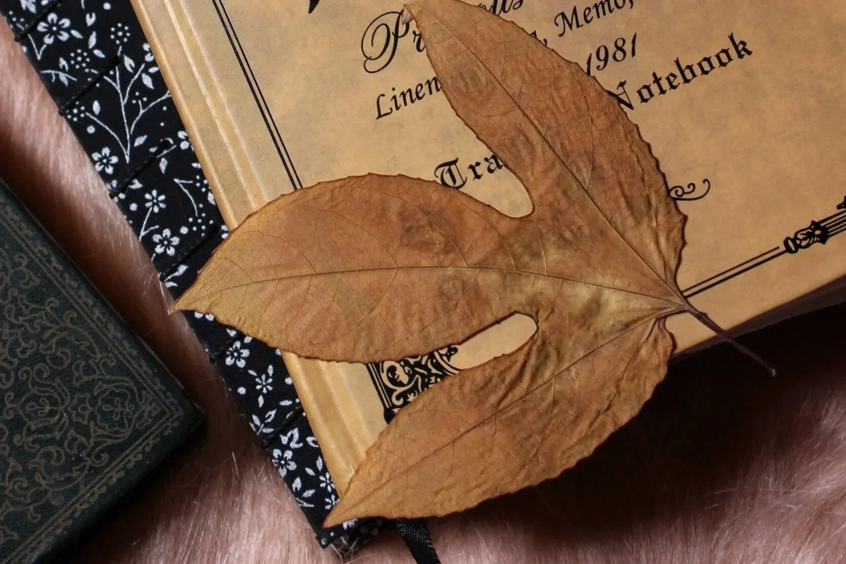 Easy and Unique Materials for Bookbinding