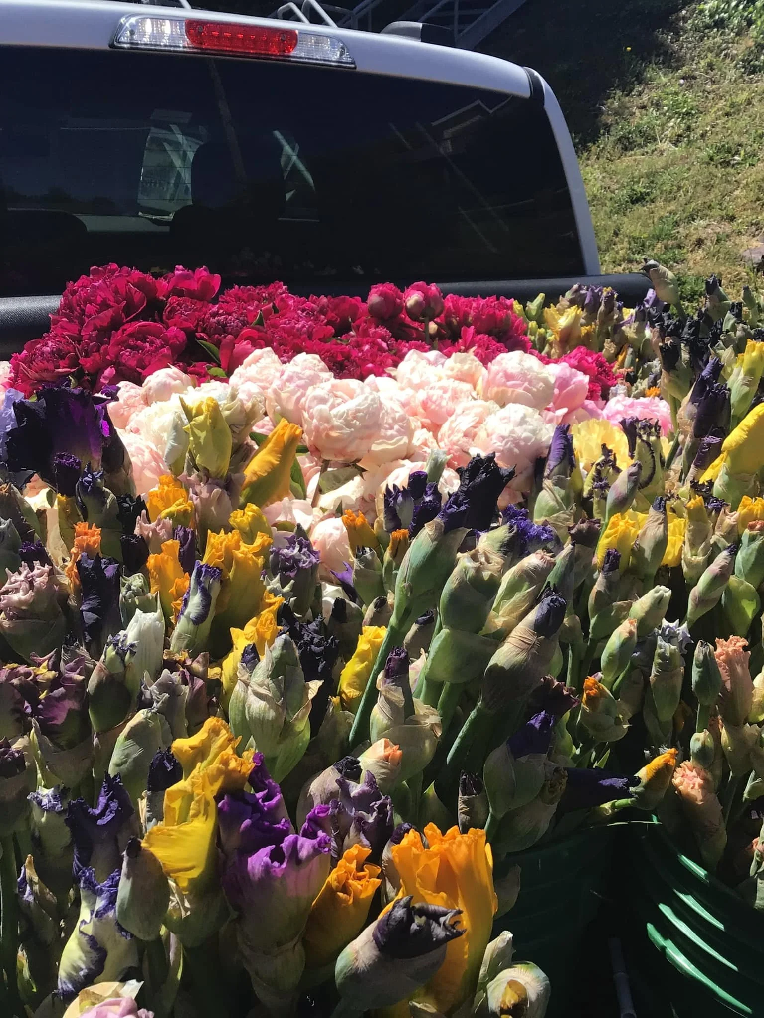 Fleet of flowers in Depoe Bay, Oregon
