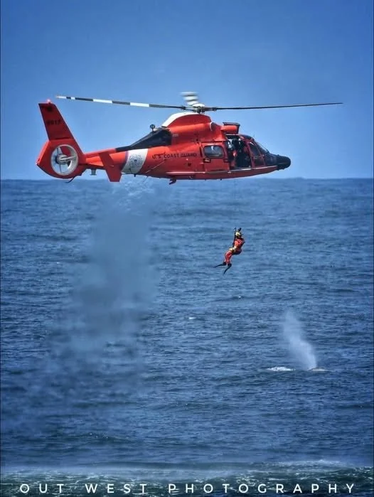 Fleet of flowers in Depoe Bay, Oregon