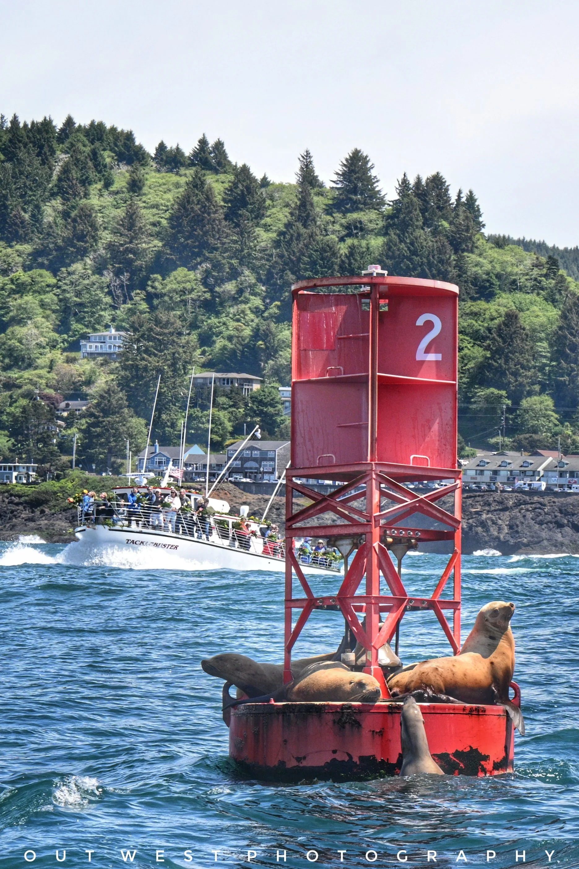 Sea lions on a buoy during the Fleet of flowers in Depoe Bay, Oregon