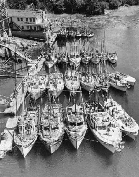 The Fleet of Flowers 1950