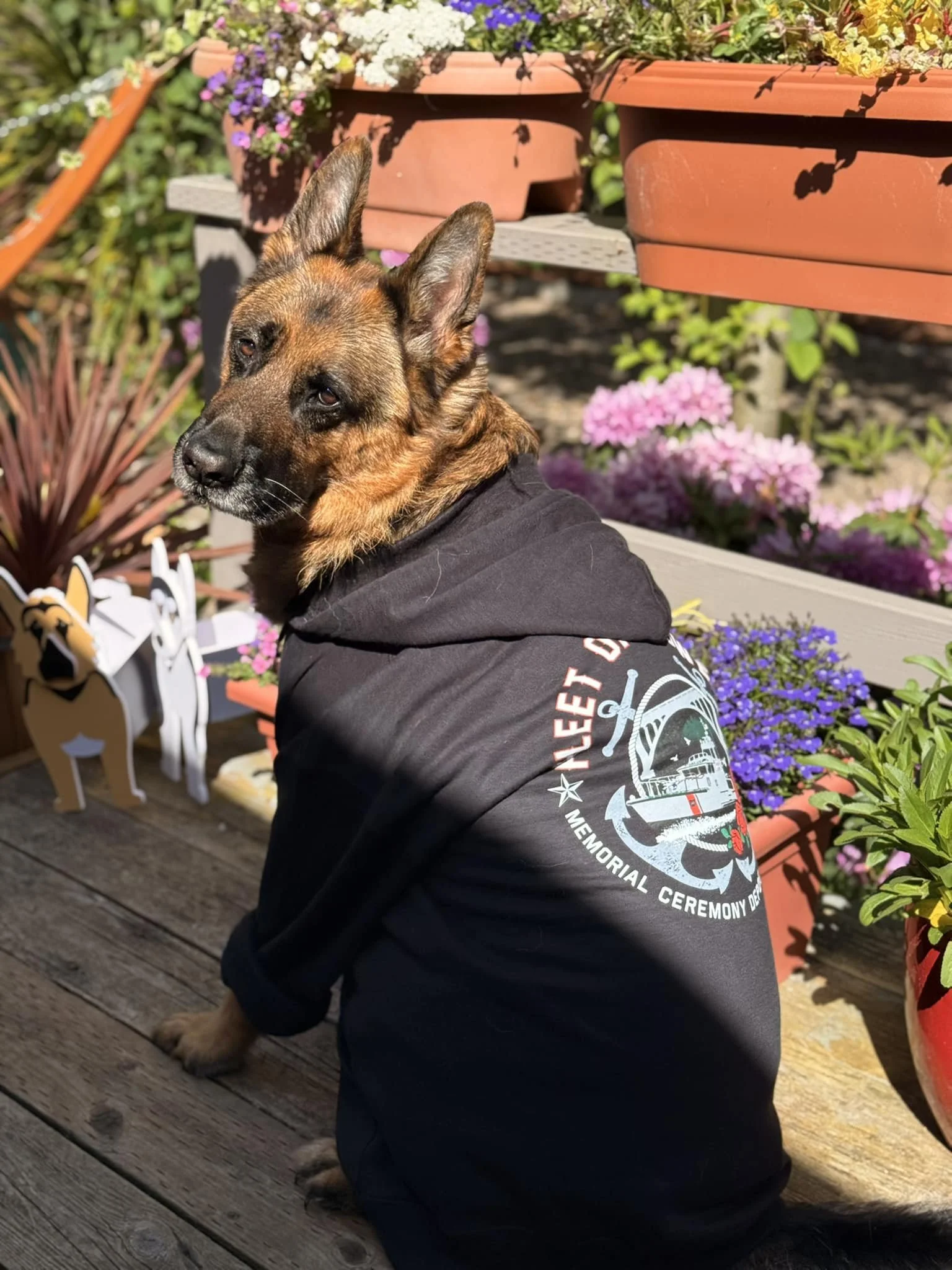 A dog wearing a Fleet of Flowers sweatshirt
