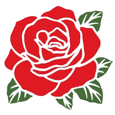 Fleet of Flowers red rose