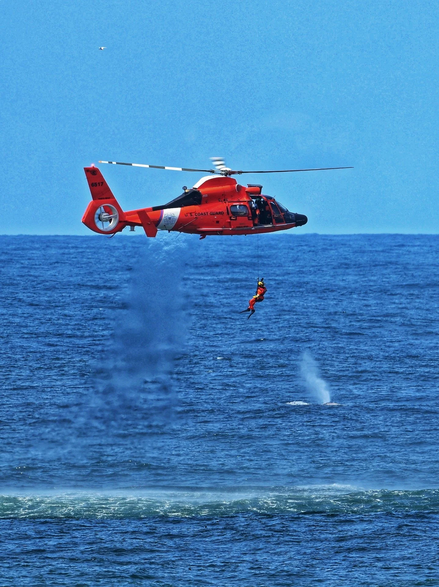 A helicopter and whale spout at Fleet of flowers in Depoe Bay, Oregon