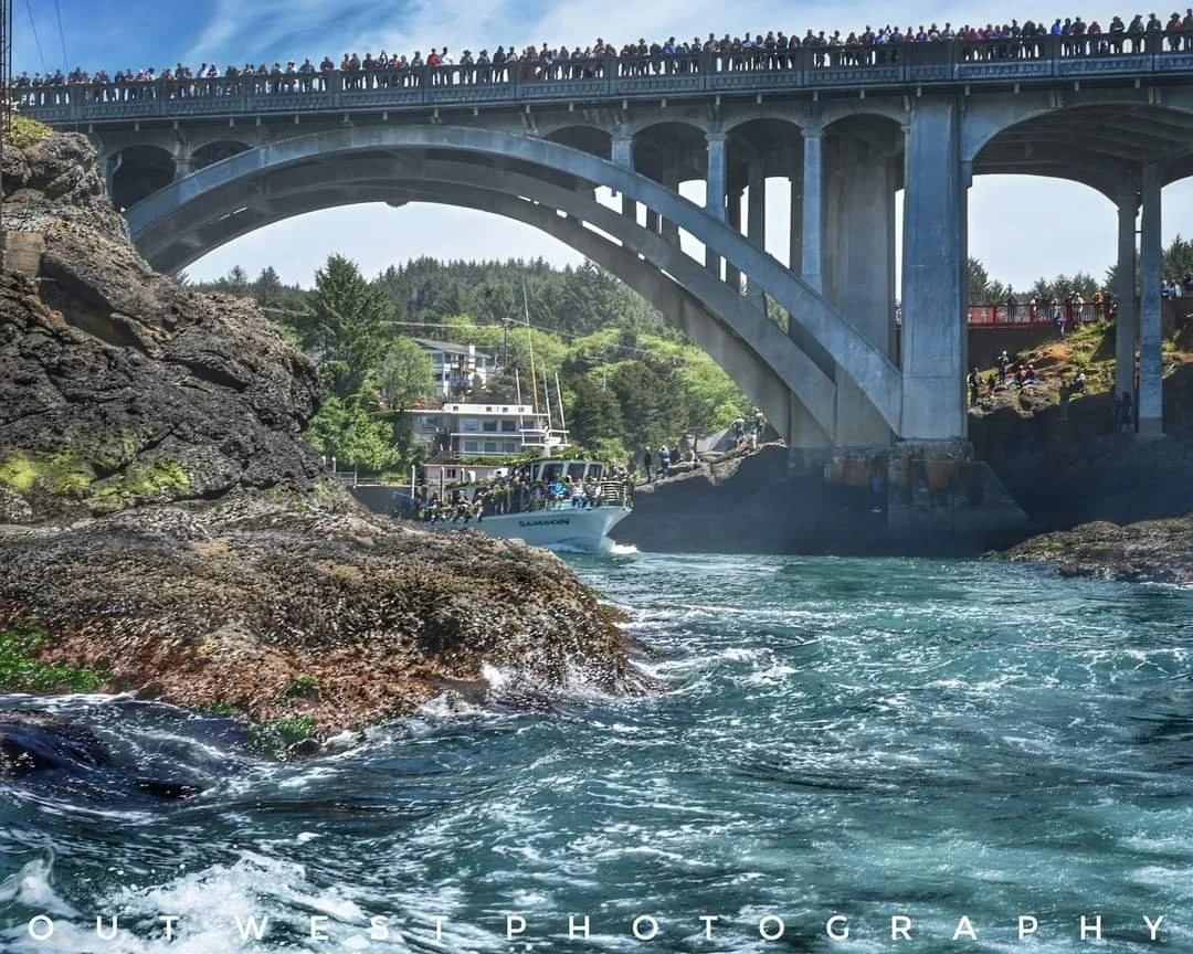 Fleet of flowers in Depoe Bay, Oregon