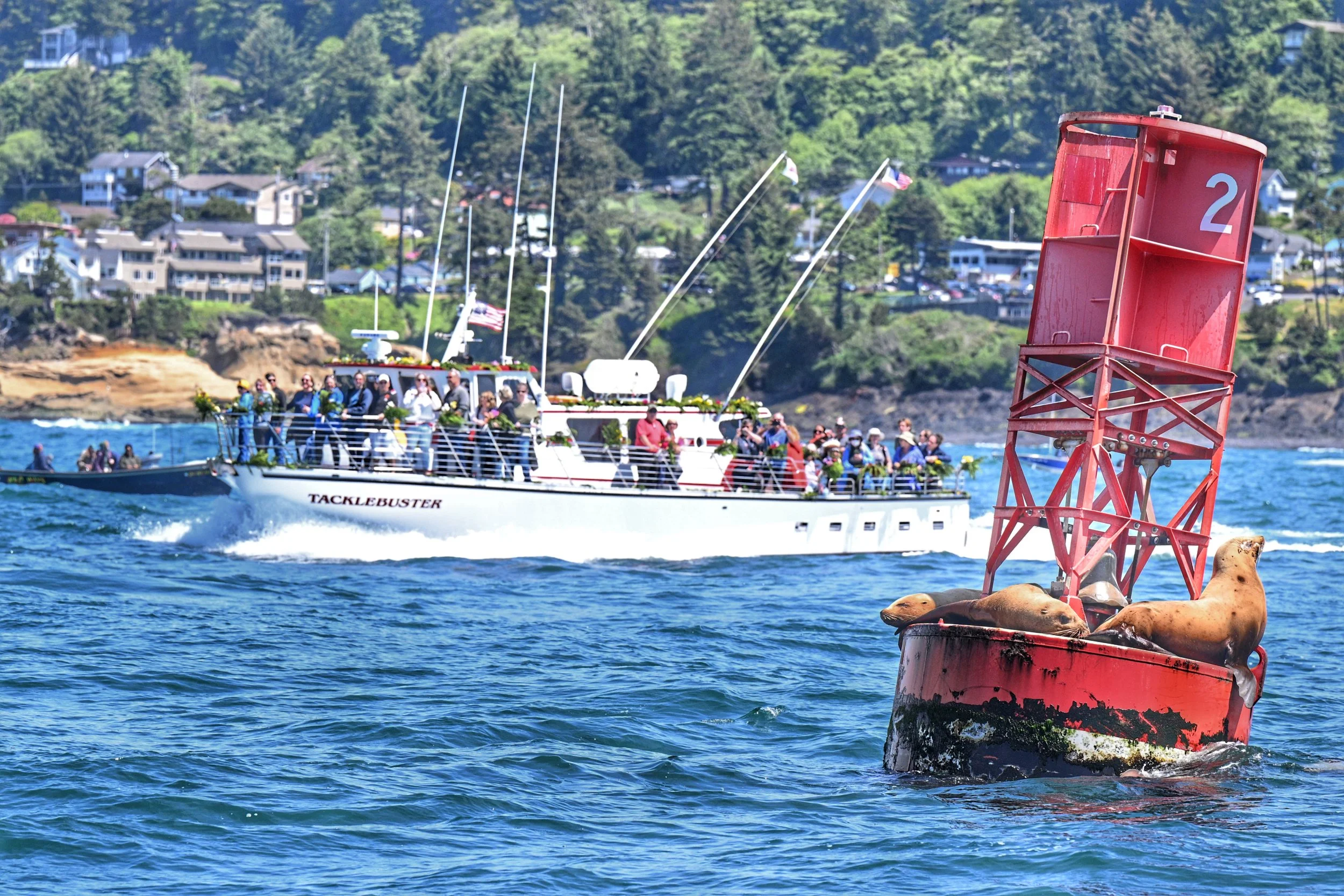 Sea lions on a buoy at the Fleet of flowers in Depoe Bay, Oregon