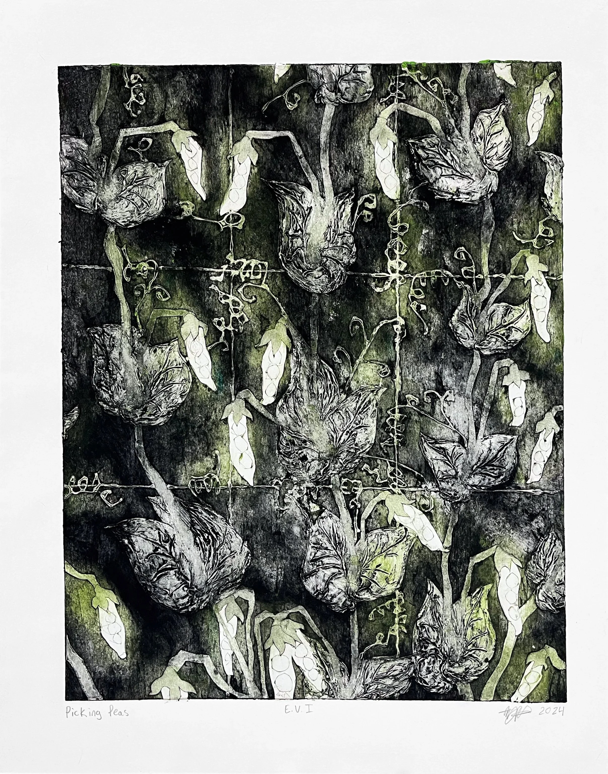 Picking Peas, 19 x 24", Collagraph, 2024