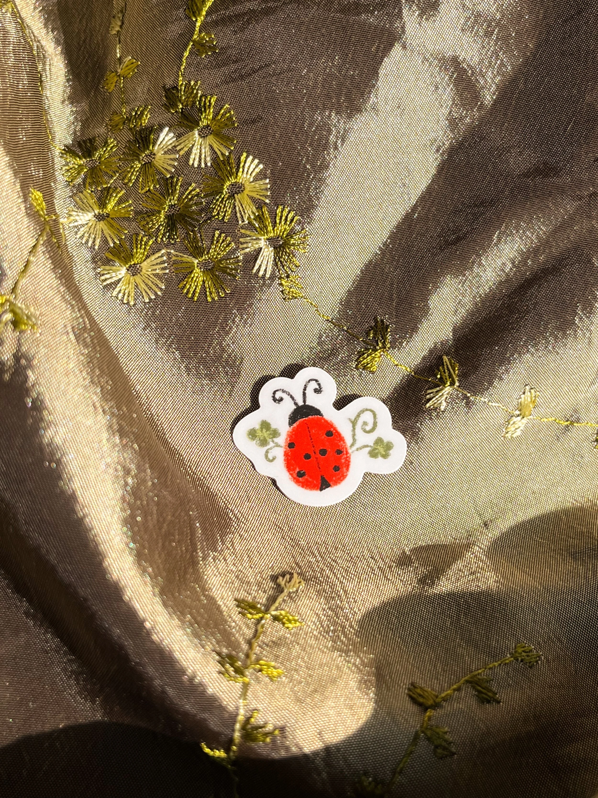 ladybug.jpg