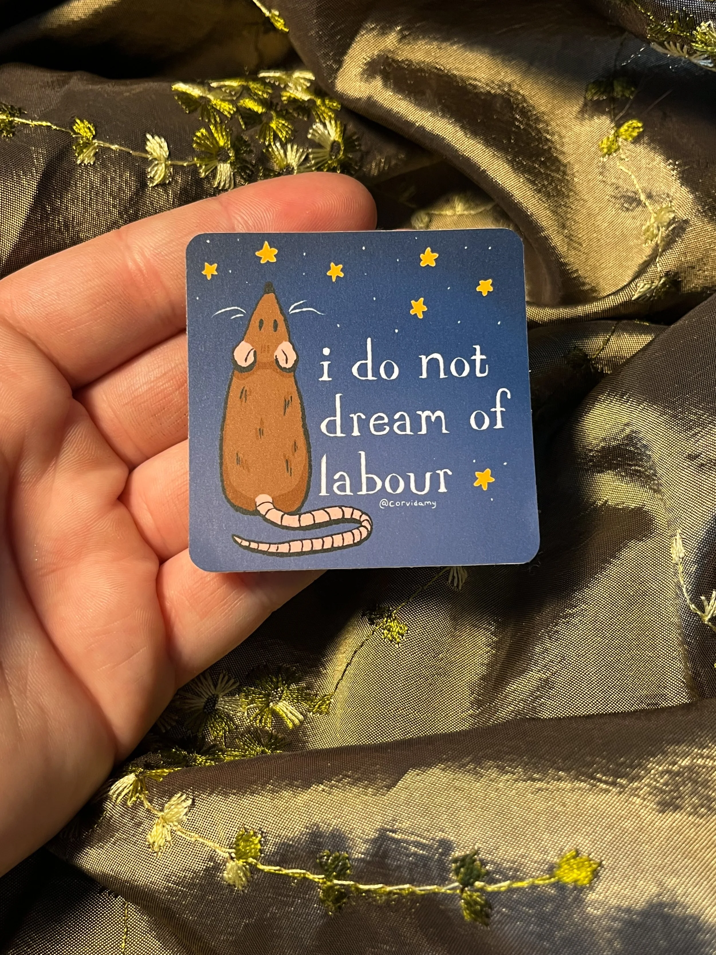 rat sticker in hand.jpg