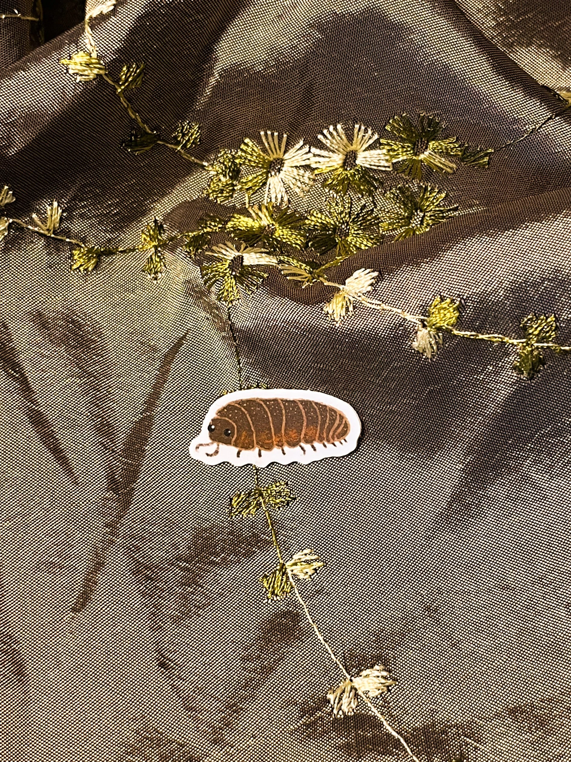 isopod.jpg