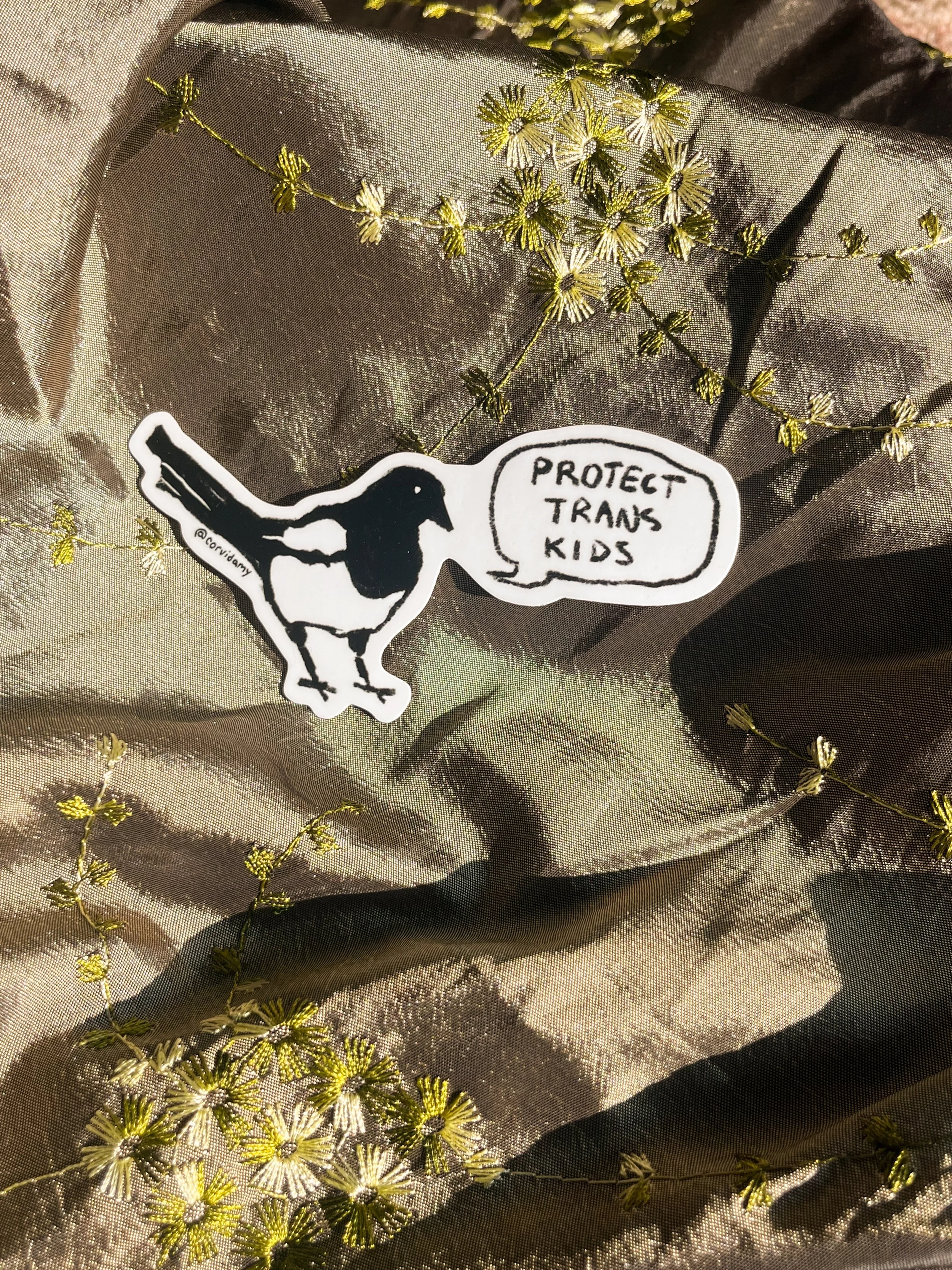 Protect trans kids.jpg