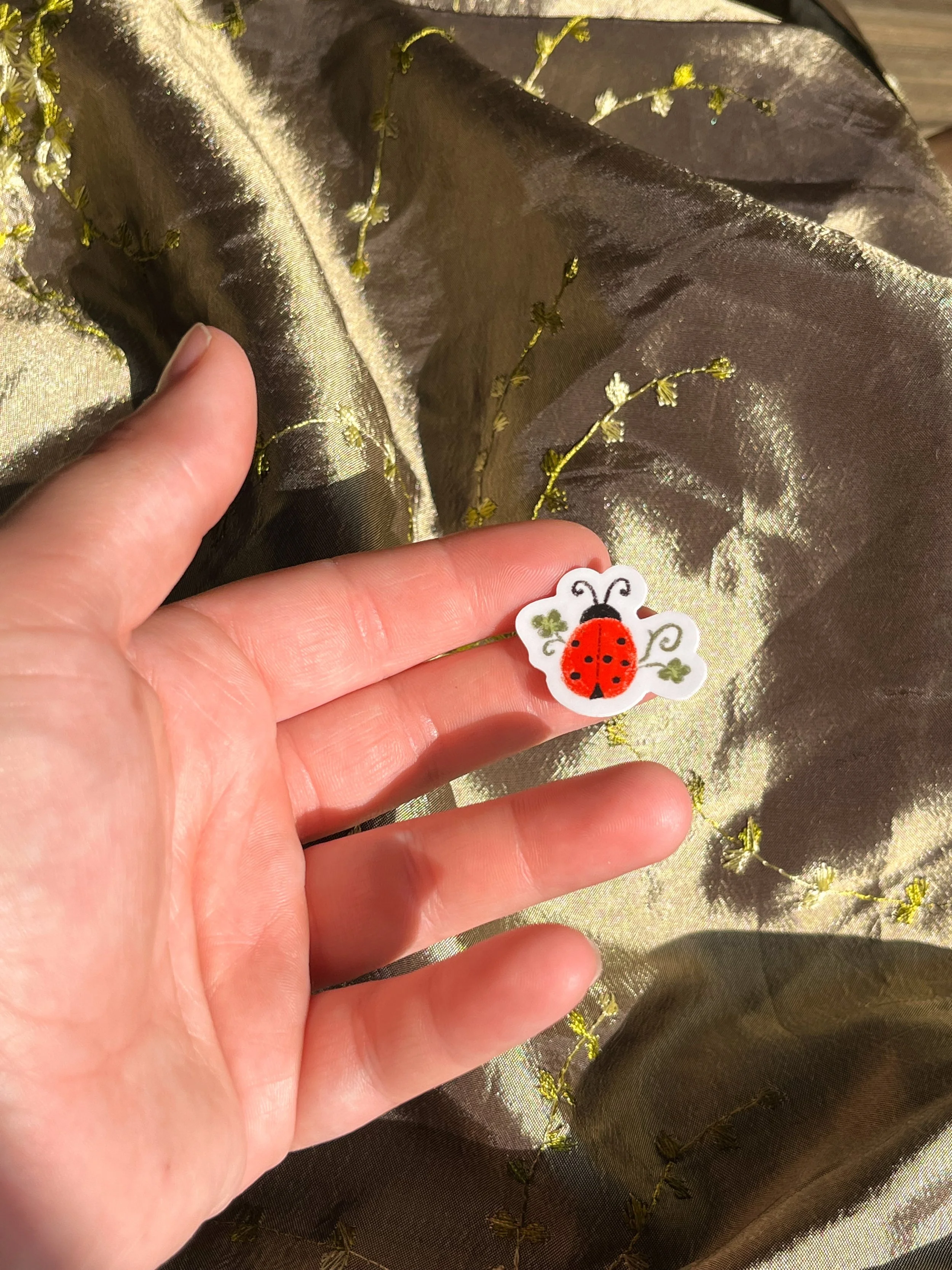 ladybug in hand.jpg