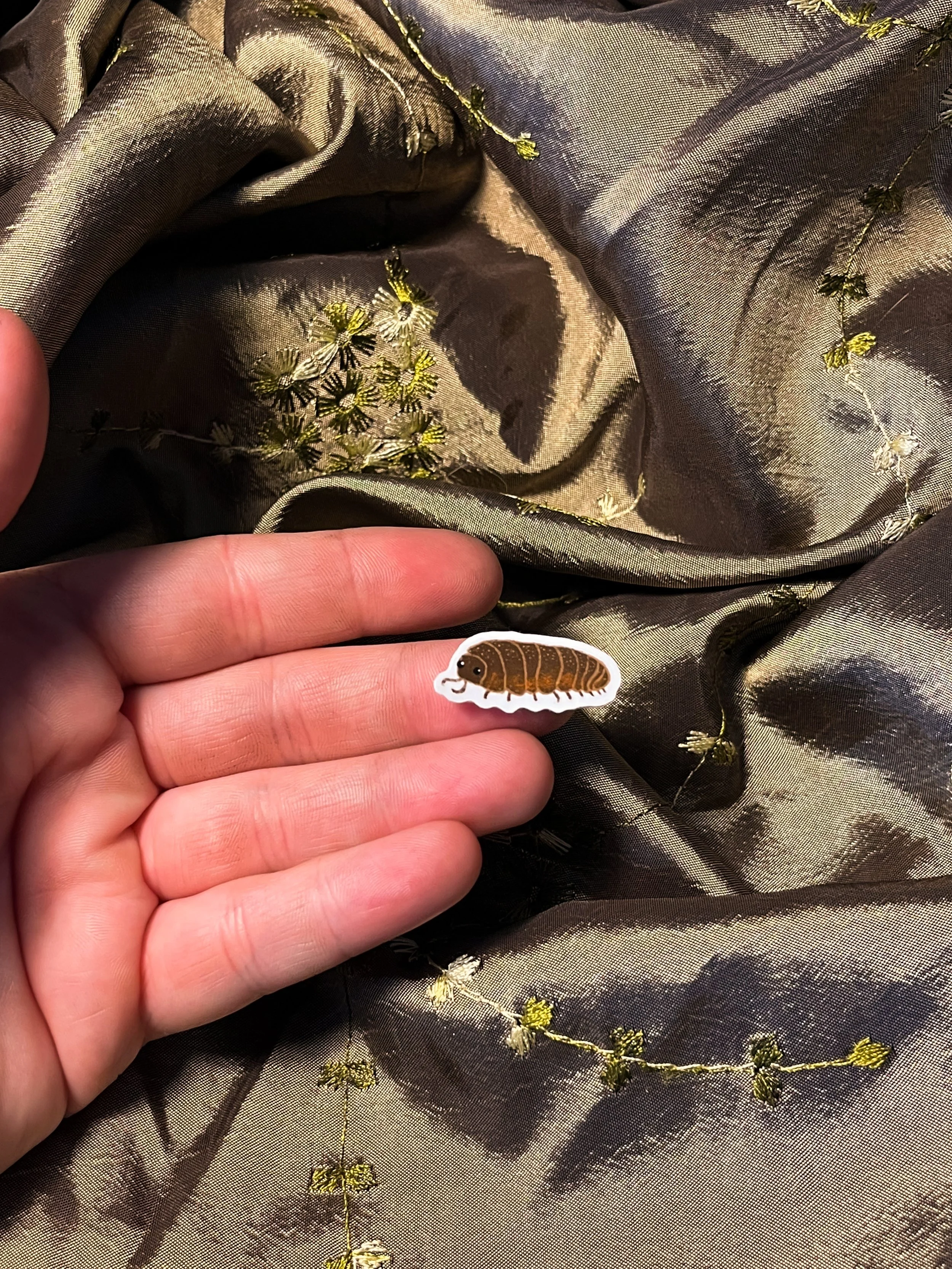 isopod in hand.jpg