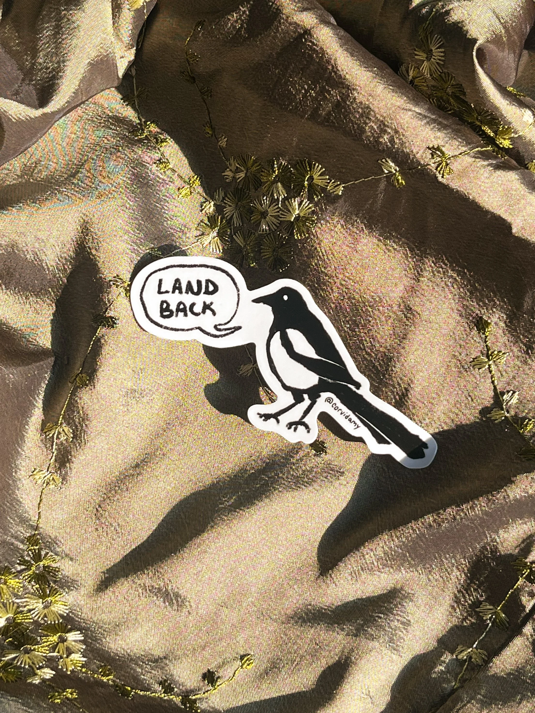 land back.jpg