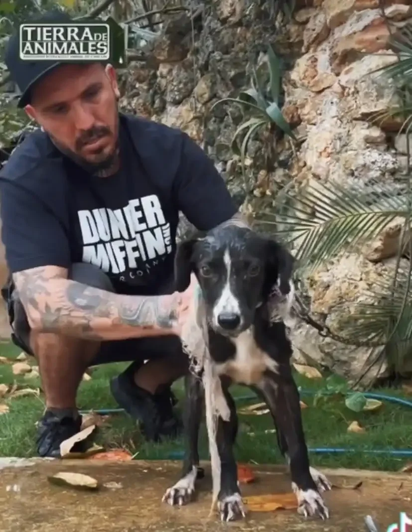 Tierra de Animales Adopta a Pucca