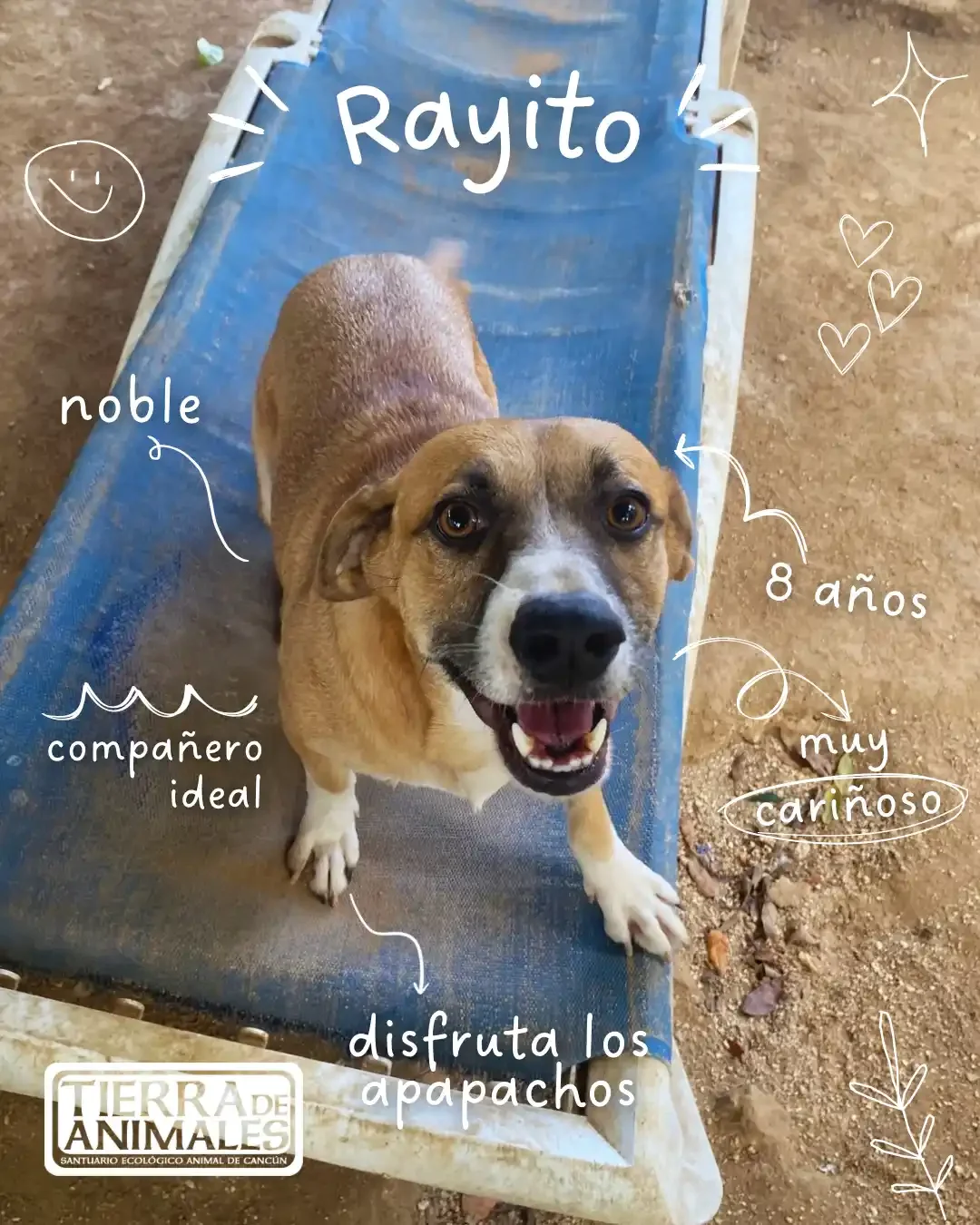 ADOPTA A “RAYITO”