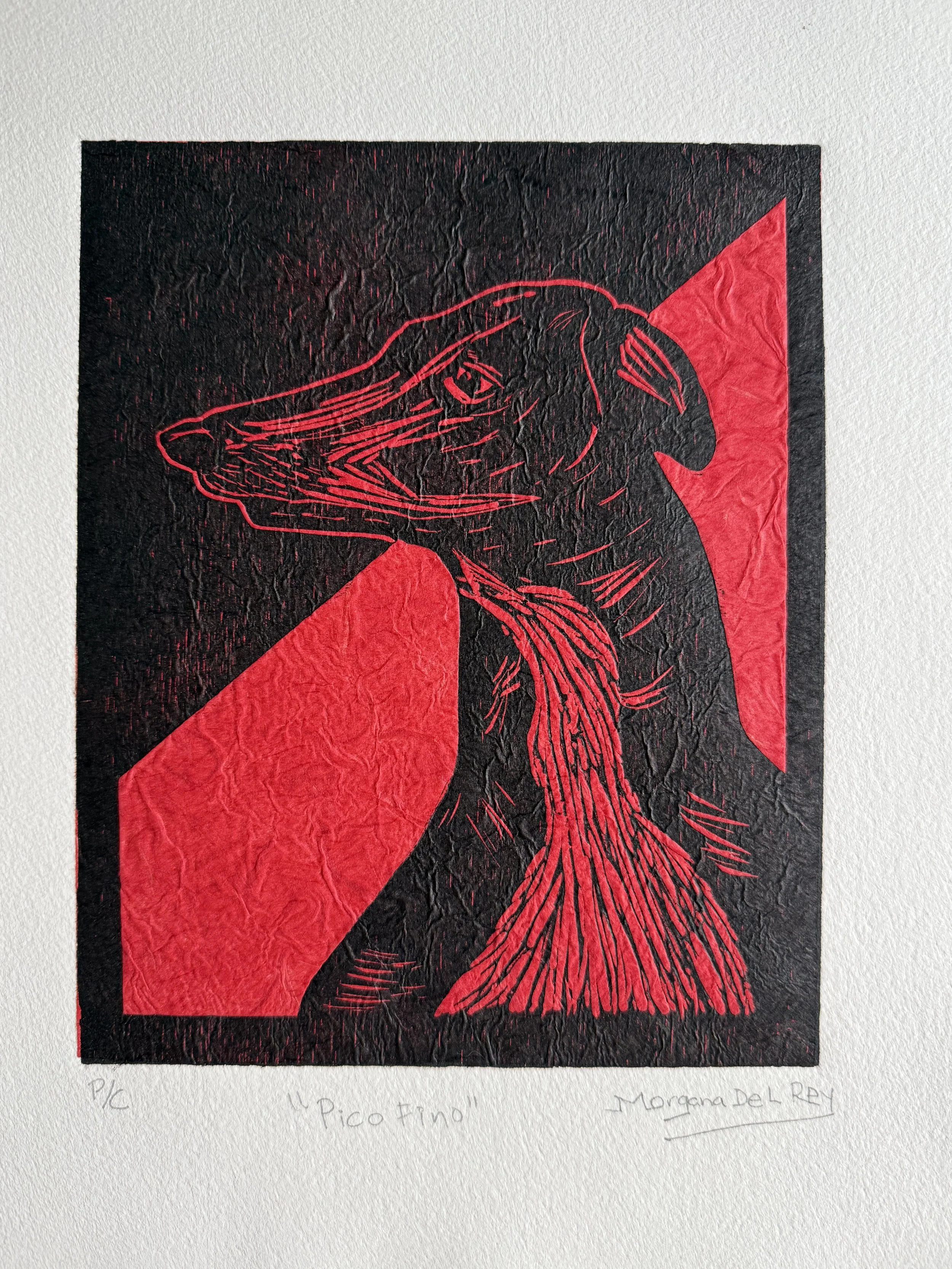 Morgana Del Rey “Pico Fino”
