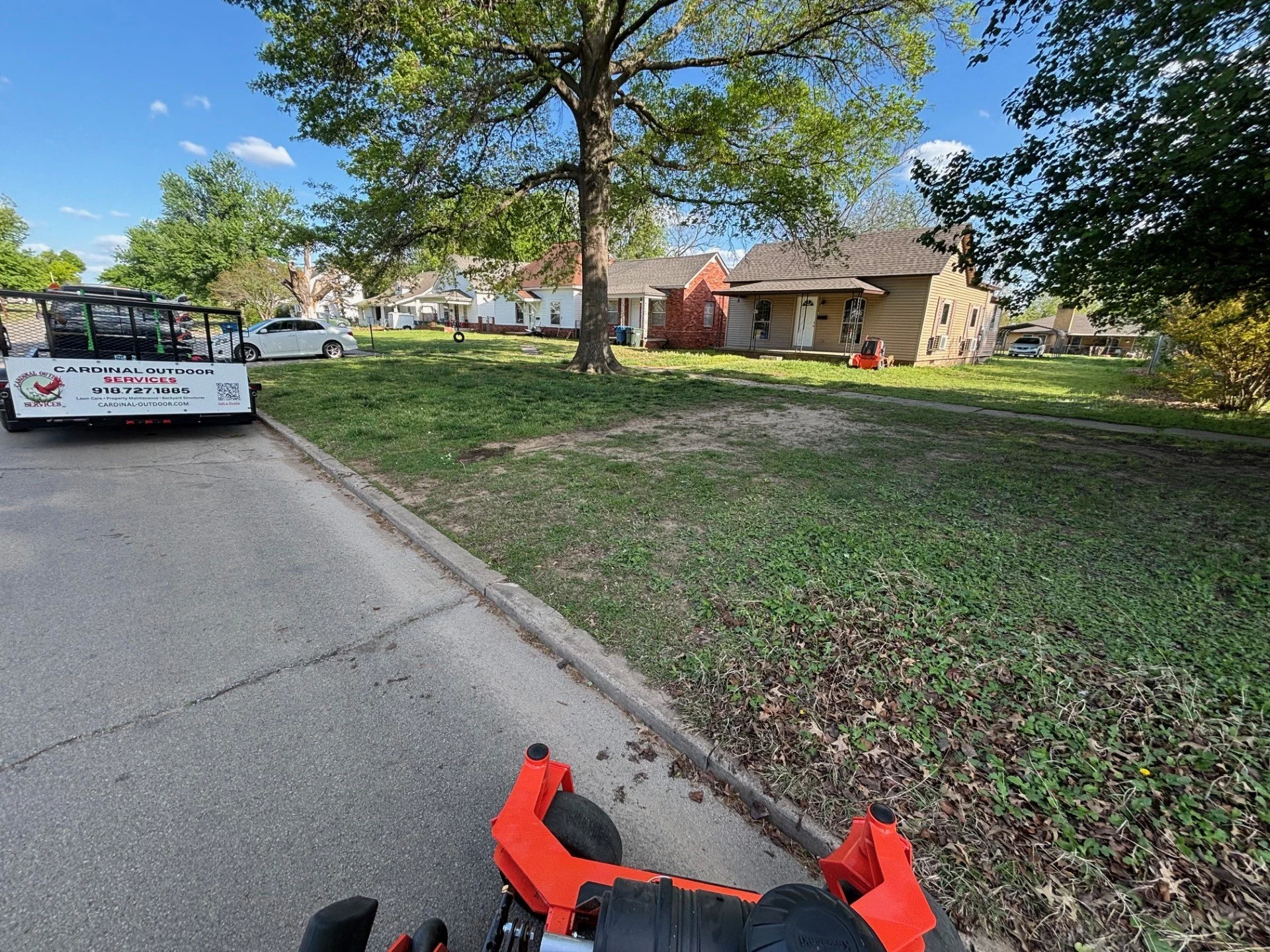 Lawn condition prior to service — overgrowth, weeds, and uneven coverage across the property.