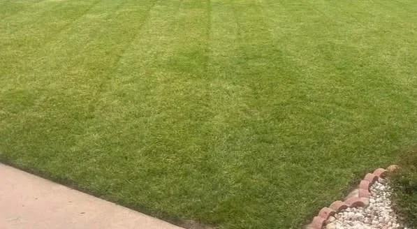 How Often Should You Mow in Oklahoma Spring?